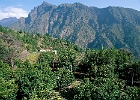 Am Eingang zum Nationalpark der Caldera befindet sich der Weiler Hacienda del Cura, am Hang der Schlucht von Angustias, auf etwa 600 Metern Meereshöhe. : Zitrusbäume, Haus, Berge